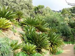 183 D26 Rayol Canadel 1_000038